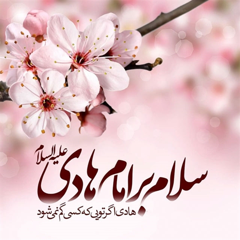 ولادت امام هادی (ع)